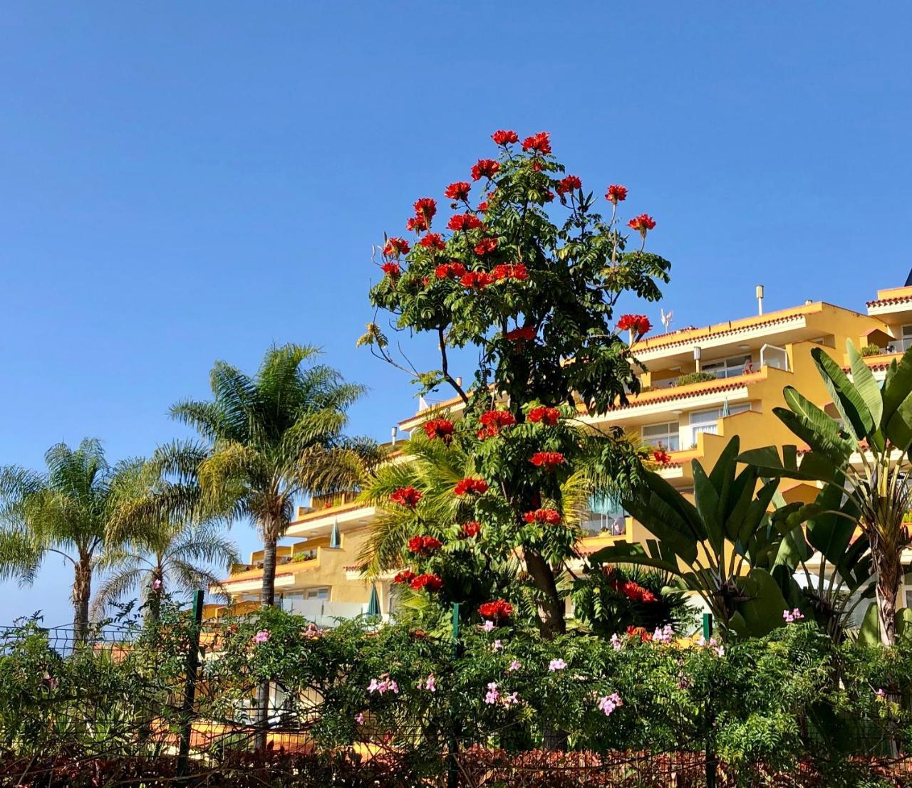 Apartamentos Tigaiga Suites Puerto de la Cruz  Exterior foto